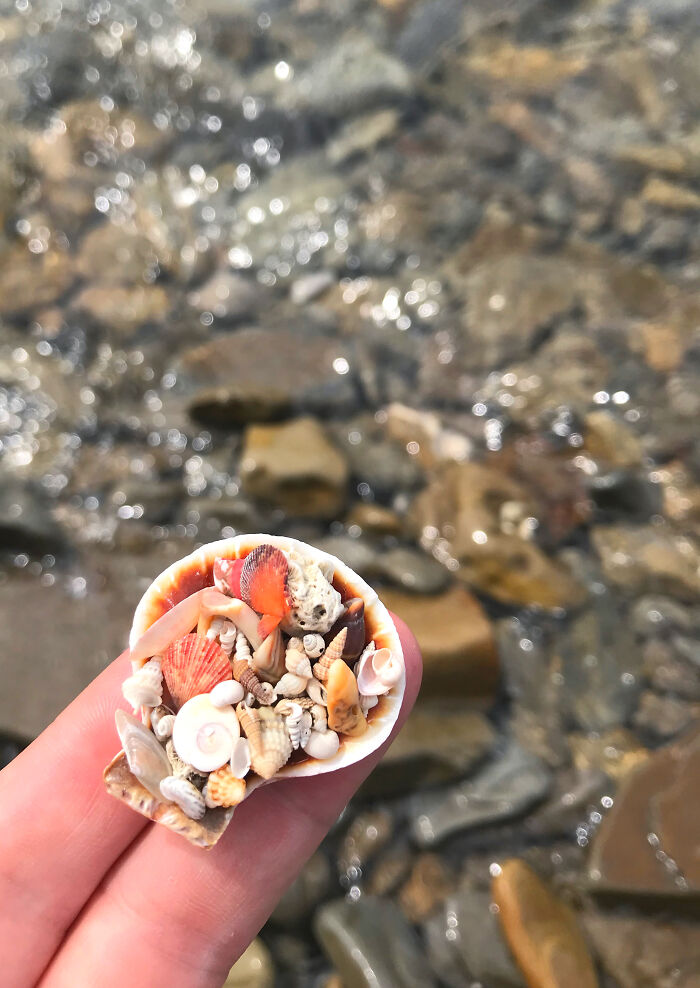I Made Jewellery Using Shells From An Enchanting Beach