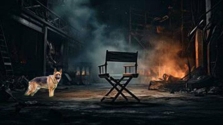 Insert This Dog In Any Movie Scene