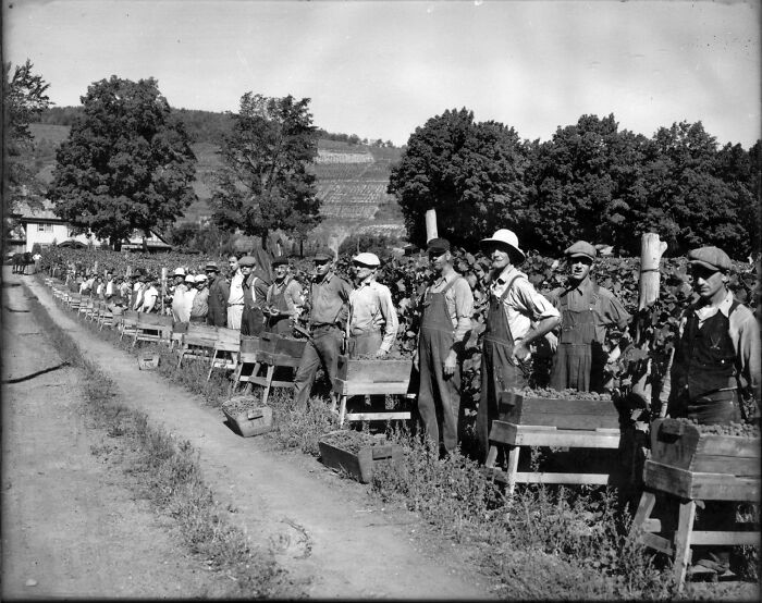 Interesting-Historical-Pics