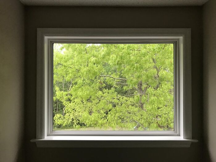 My Bathroom Window Looks Like A Painting