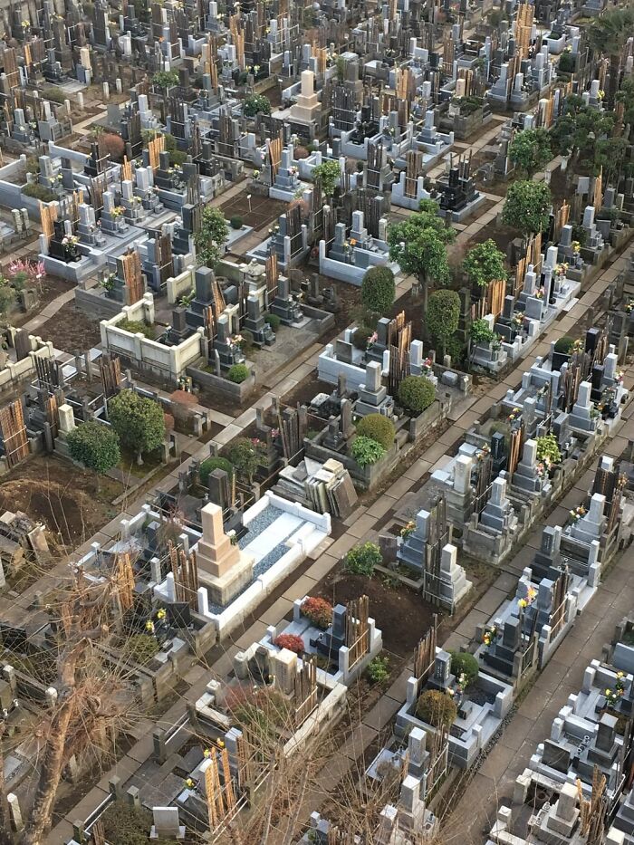 The View Of A Cemetery From My Tokyo Hotel Window Looks Like A Cityscape