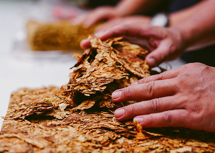 “What Is Something Legal That You’re Extremely Addicted To?” (45 Answers)