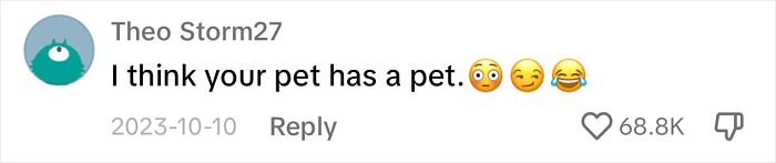 Touching Moment Mama Cat Adopts A Mouse As A Part Of Her Newest Litter Touching Moment Mama Cat Adopts A Mouse As A Part Of Her Newest Litter