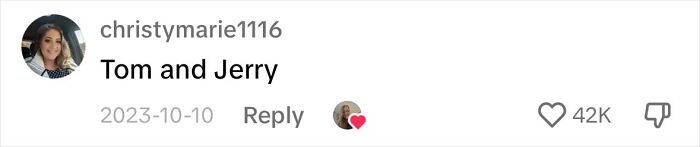 Touching Moment Mama Cat Adopts A Mouse As A Part Of Her Newest Litter Touching Moment Mama Cat Adopts A Mouse As A Part Of Her Newest Litter