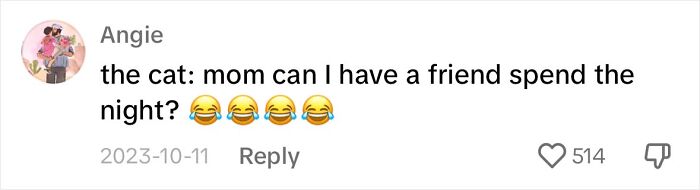 Touching Moment Mama Cat Adopts A Mouse As A Part Of Her Newest Litter Touching Moment Mama Cat Adopts A Mouse As A Part Of Her Newest Litter