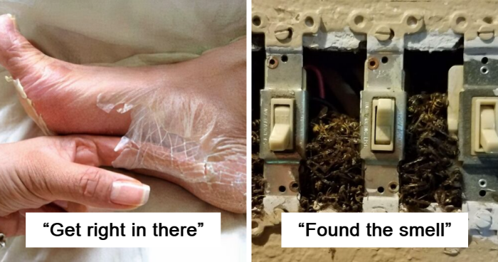 50 Times People Came Across Something ‘Mildly Disgusting’ And Had To ...