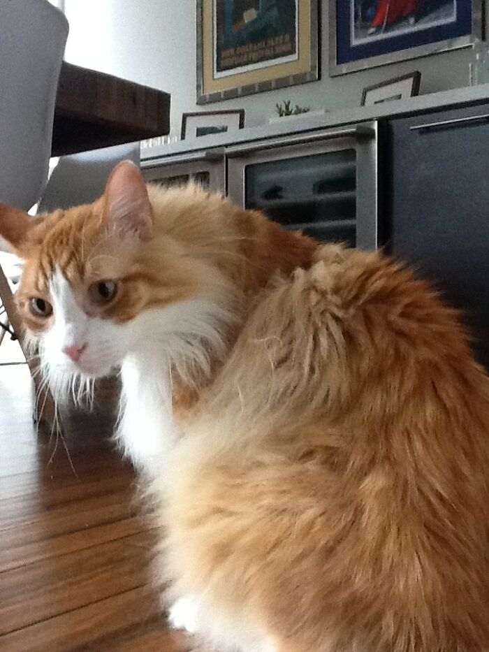 Mr. Miles Has Seen Somethings