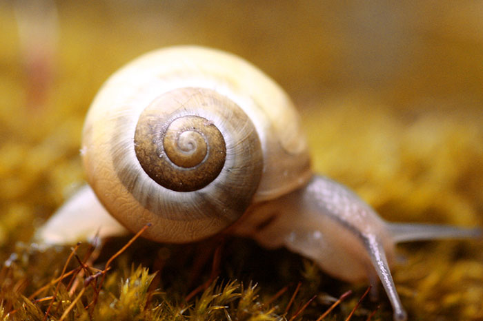 High School Teacher Shares 36 Moments That Left Her Speechless