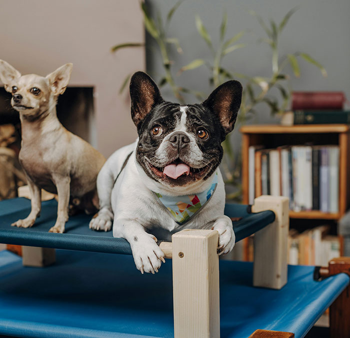 30 People Share The Most Obscene Displays Of Wealth They Have Ever Seen (30 Stories)