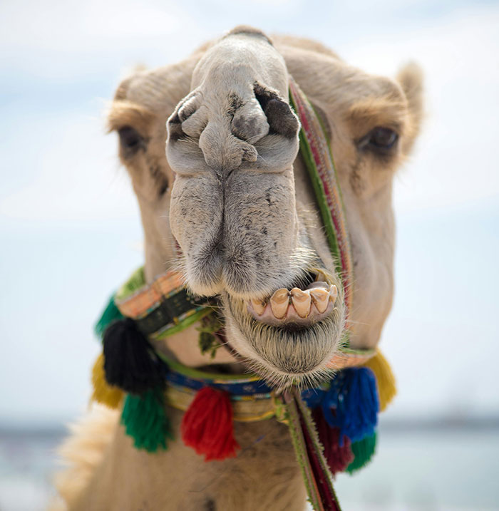 30 People Share The Most Obscene Displays Of Wealth They Have Ever Seen (30 Stories)