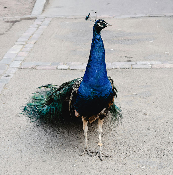 30 People Share The Most Obscene Displays Of Wealth They Have Ever Seen (30 Stories)