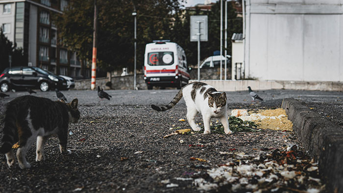 30 Of The Most Interesting Things People Spotted Rich People Doing Casually