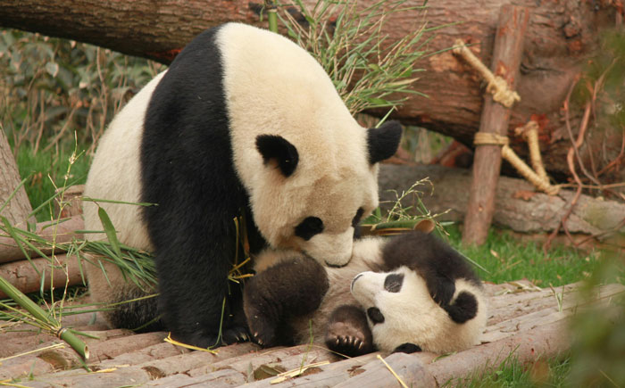 30 Useless Facts That Will Just Take Up Space In Your Head, Unless You’re A Random Trivia Fanatic