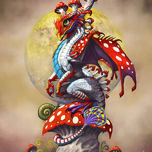 elizabethshteinberg avatar