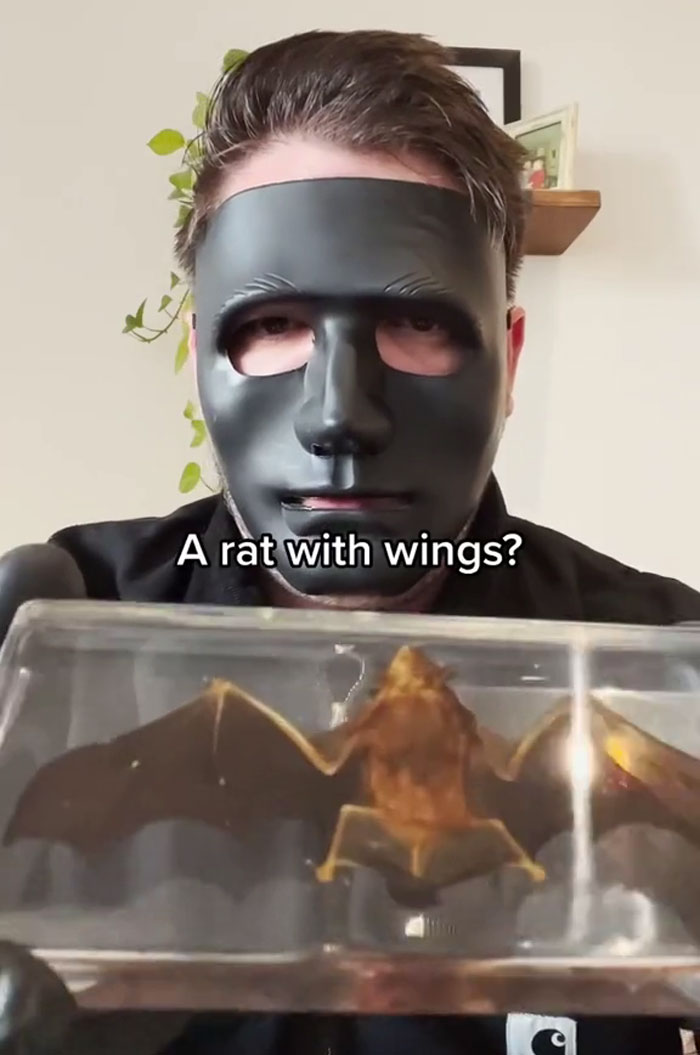 People Can&rsquo;t Resist Buying These Mystery Boxes Off The Dark Web And Sharing Their Finds Online