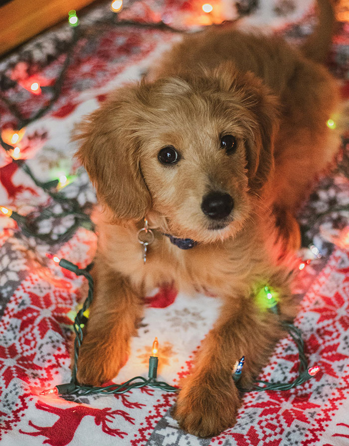 "Cheating On Your Partner": 40 Common Things That Should Not Be So Normalized