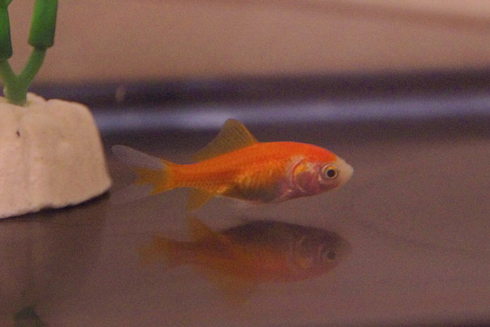 "Cheating On Your Partner": 40 Common Things That Should Not Be So Normalized