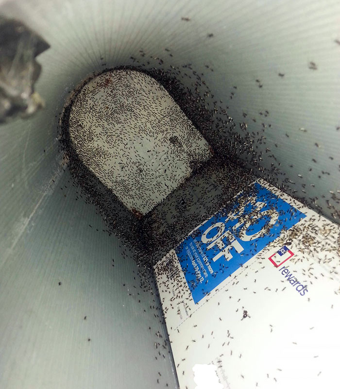 Went To Get My Mail And This Was Waiting For Me