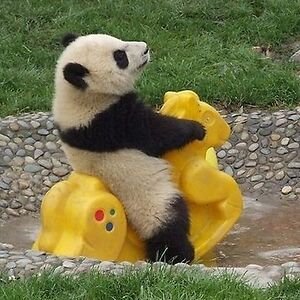 aliciaclifton avatar