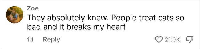 Woman Furious That Maintenance Crew Patched Her Cat Into The Wall, It Turns Out She&rsquo;s Not Alone