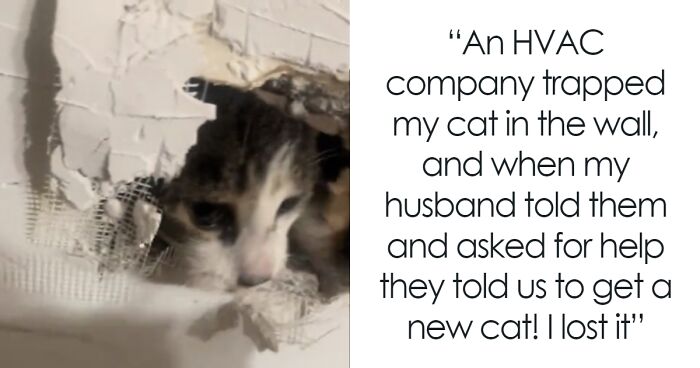Woman Furious That Maintenance Crew Patched Her Cat Into The Wall, It Turns Out She’s Not Alone
