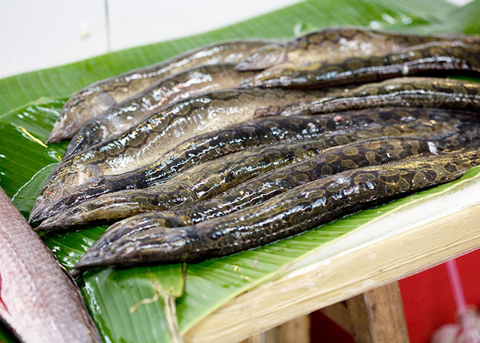 “Chicken Wings, Nobody Should Be Paying $2 Per Wing”: 30 Things People Can No Longer Afford - 39