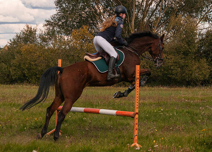 “Chicken Wings, Nobody Should Be Paying $2 Per Wing”: 30 Things People Can No Longer Afford - 34