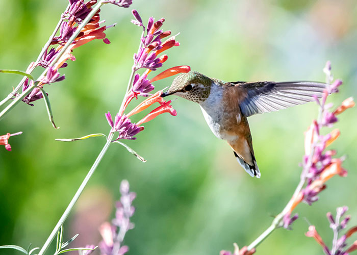 “My Dad Might Be Alive”: 50 Things People Are 100% Certain Are True Despite Having No Evidence