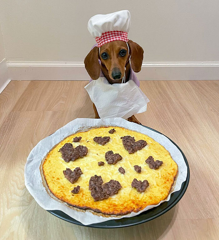 Mom Promised To Make Me A Dog-Friendly Pizza Since She Wouldn't Share Hers For Pi Day, So Now I Get To Enjoy This All To Myself