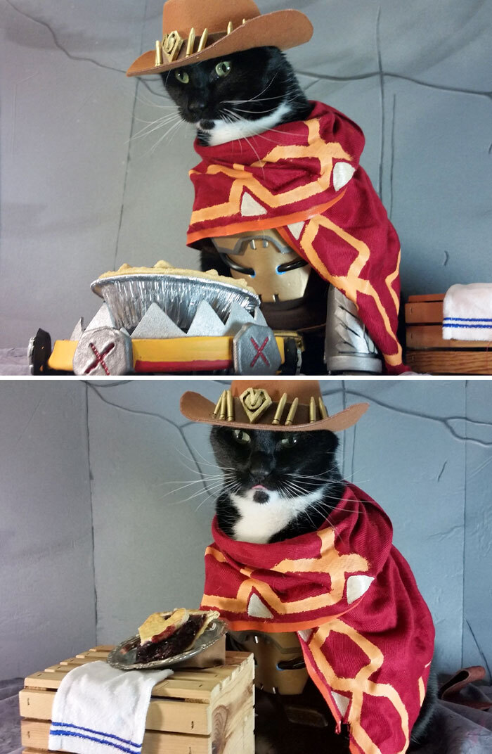 We Actually Made The Costume To Make The "It's Pie Noon" Pun For Pi Day