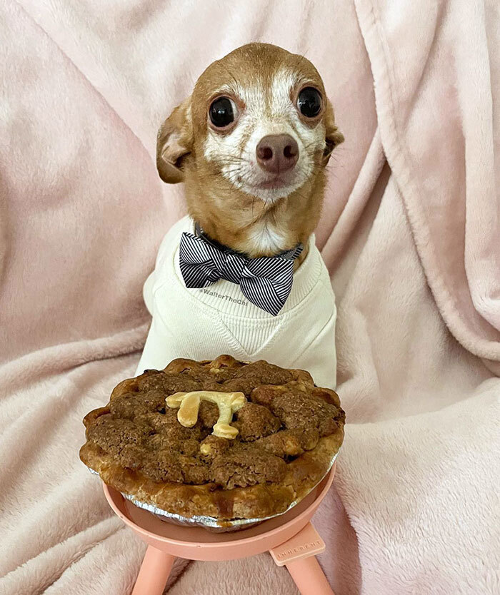 Walter Is Wishing Everyone A Happy Pi Day