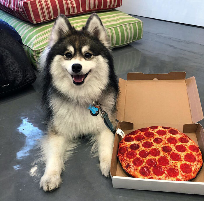 When You Said It Was A National Pi Day, This Is What I Had In Mind, Human