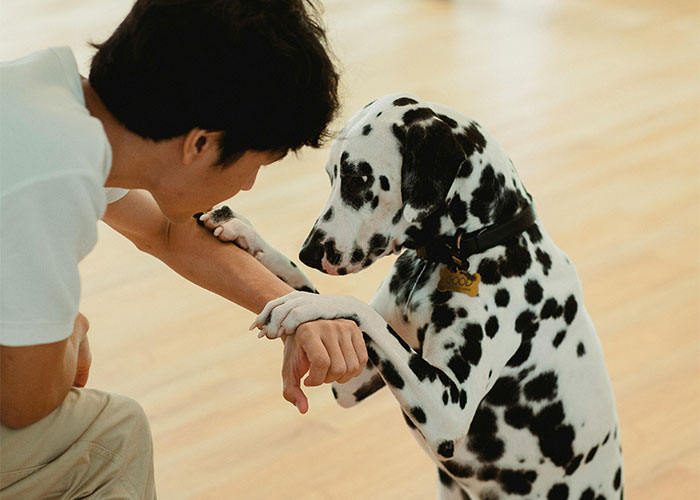 30 People Share Their 'Weird' Things And Ask If Others Do Them As Well