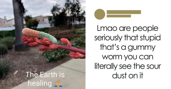 30 Hilarious Screenshots Of Overconfident People Completely Missing The Joke (New Pics)