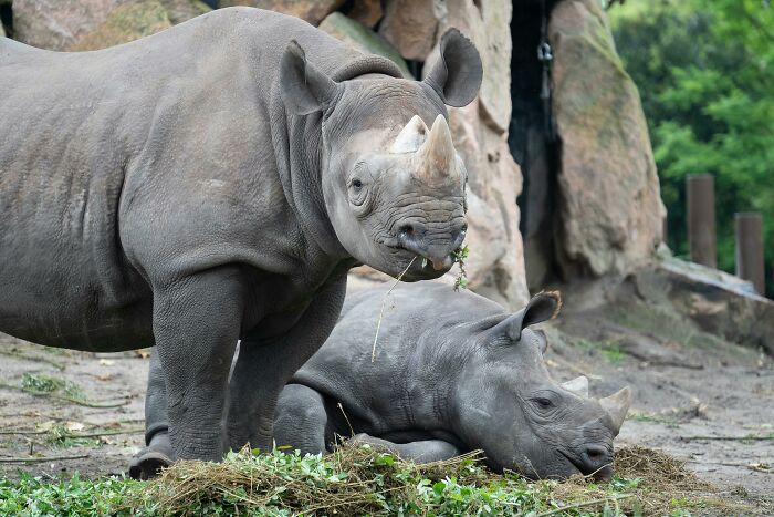 30 Interesting, Weird, And Straight-Up Creepy Things People Have Seen With No Proof