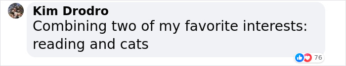 Library Lets People Trade Cat Pics For The Clearing Of Unpaid Dues During March Meowness Library Lets People Trade Cat Pics For The Clearing Of Unpaid Dues During March Meowness