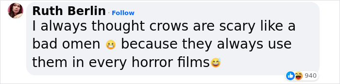 &ldquo;They Have A Special Bond&rdquo;: A 2-Year-Old Boy And His Crow