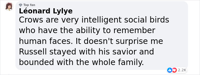 &ldquo;They Have A Special Bond&rdquo;: A 2-Year-Old Boy And His Crow