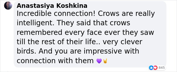 &ldquo;They Have A Special Bond&rdquo;: A 2-Year-Old Boy And His Crow