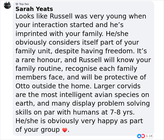 &ldquo;They Have A Special Bond&rdquo;: A 2-Year-Old Boy And His Crow