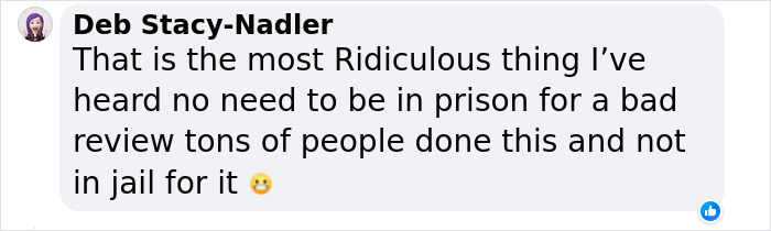 Woman Faces Up To 7 Years In Prison Over Negative Review Of Tomato Puree - 6