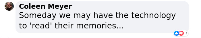 Scientists Try To Explain Why 4,400 Brains Have Managed To Survive, Some Over 12,000 Years