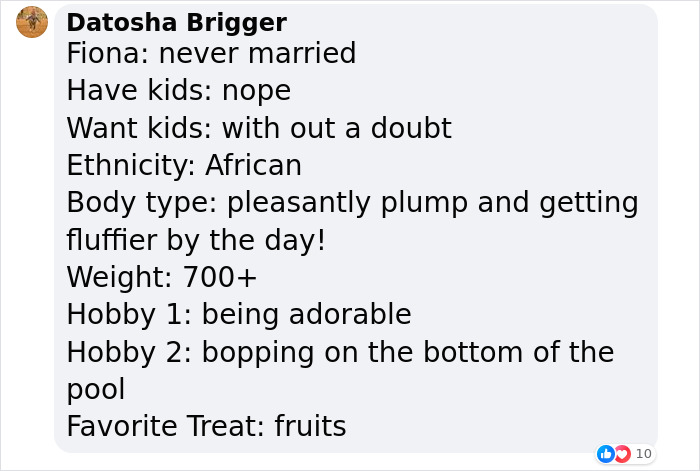 Sleepy, Cute And So Satisfying To Watch: Hippos Enjoying Underwater Spa - 15