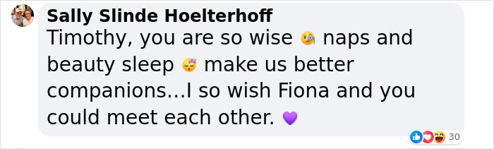 Sleepy, Cute And So Satisfying To Watch: Hippos Enjoying Underwater Spa - 13