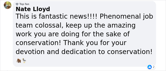 Texas Startup Plans To Resurrect The Woolly Mammoth, Among Other Extinct Species