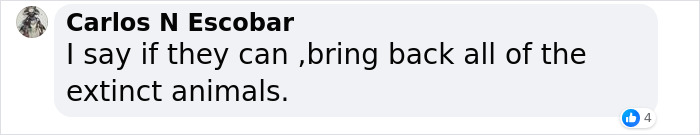 Texas Startup Plans To Resurrect The Woolly Mammoth, Among Other Extinct Species