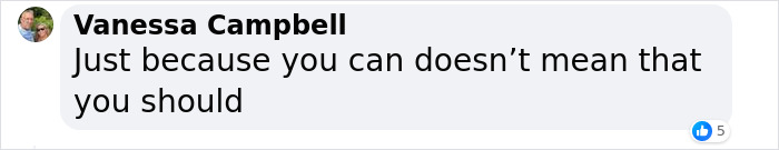 Texas Startup Plans To Resurrect The Woolly Mammoth, Among Other Extinct Species