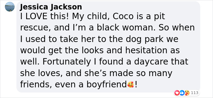 Pit Bull Overjoyed When She Finally Has Friends To Play With After Being Avoided By Other Dogs