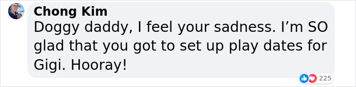 Pit Bull Overjoyed When She Finally Has Friends To Play With After Being Avoided By Other Dogs