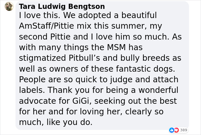 Pit Bull Overjoyed When She Finally Has Friends To Play With After Being Avoided By Other Dogs